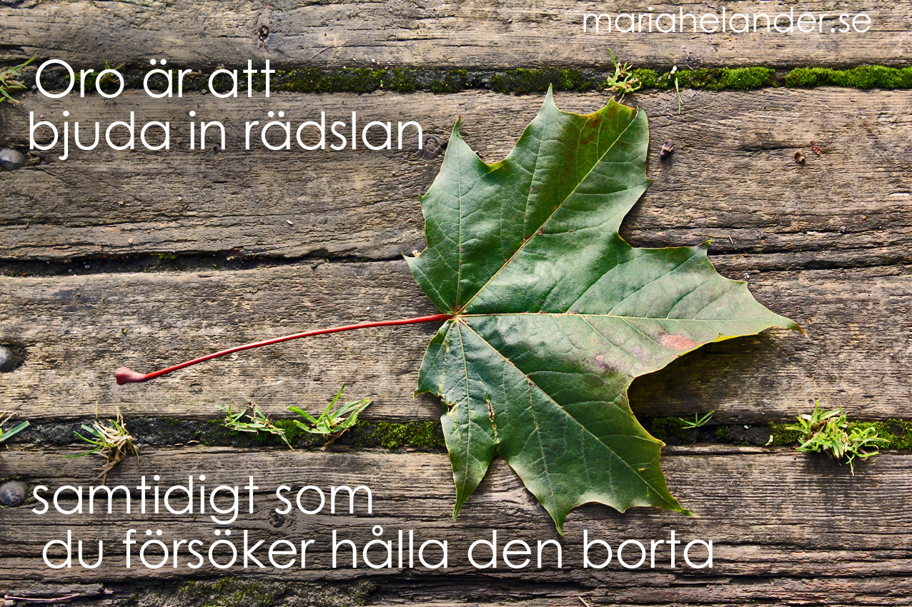 Vi väljer våra vanor…