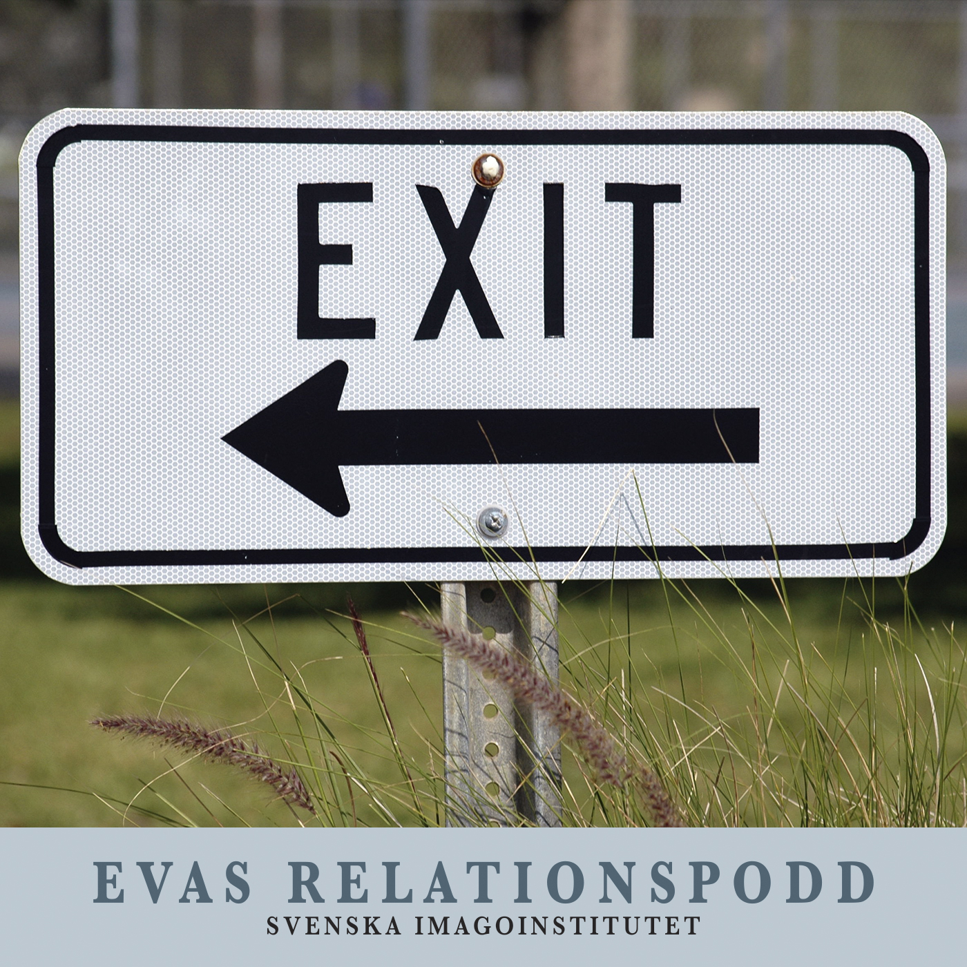 #31 En exit – Ibland rymmer vi från oss själva – Eva Berlander