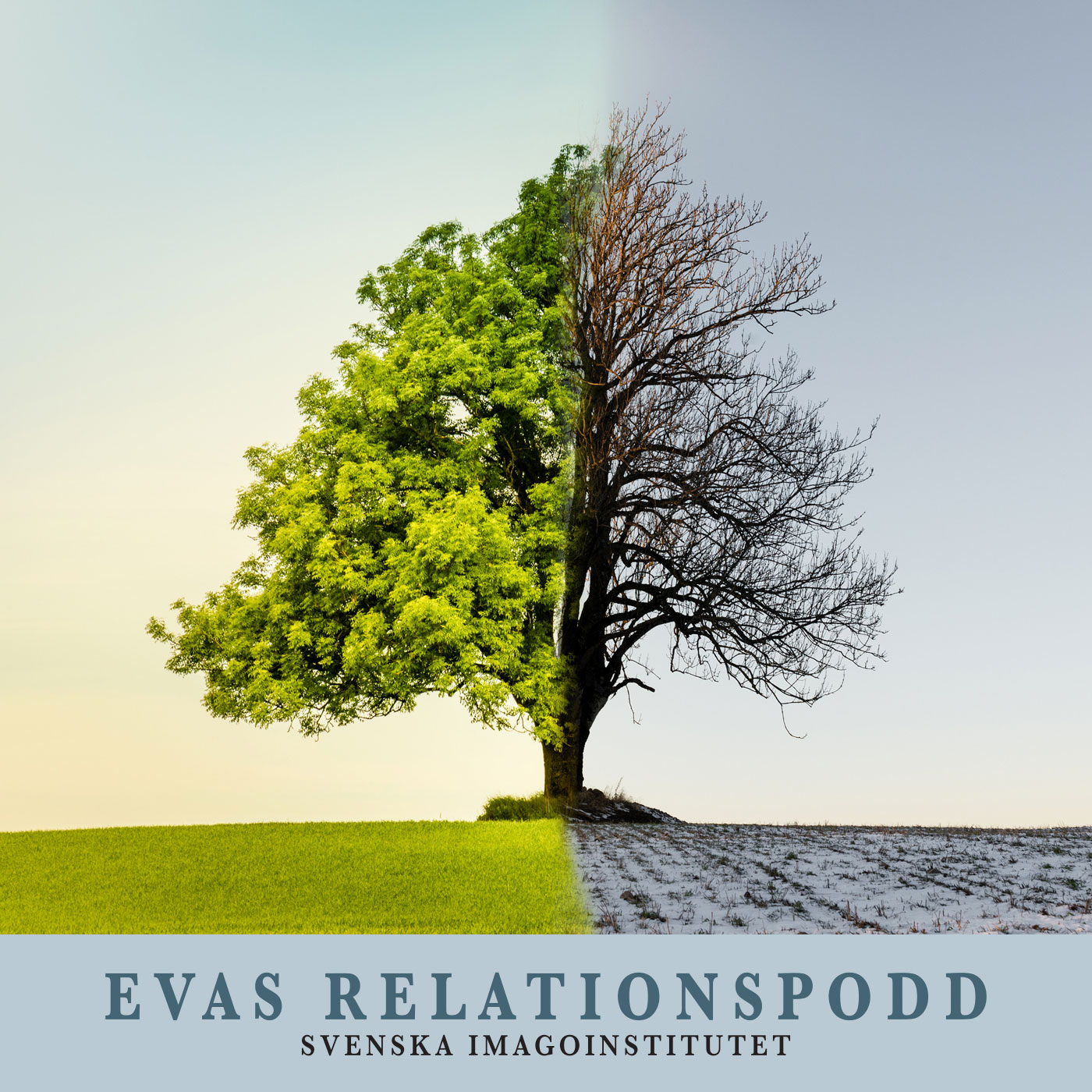 #73  Den finaste versionen av mig själv – Eva möter Dr Pat Love  (engelska)