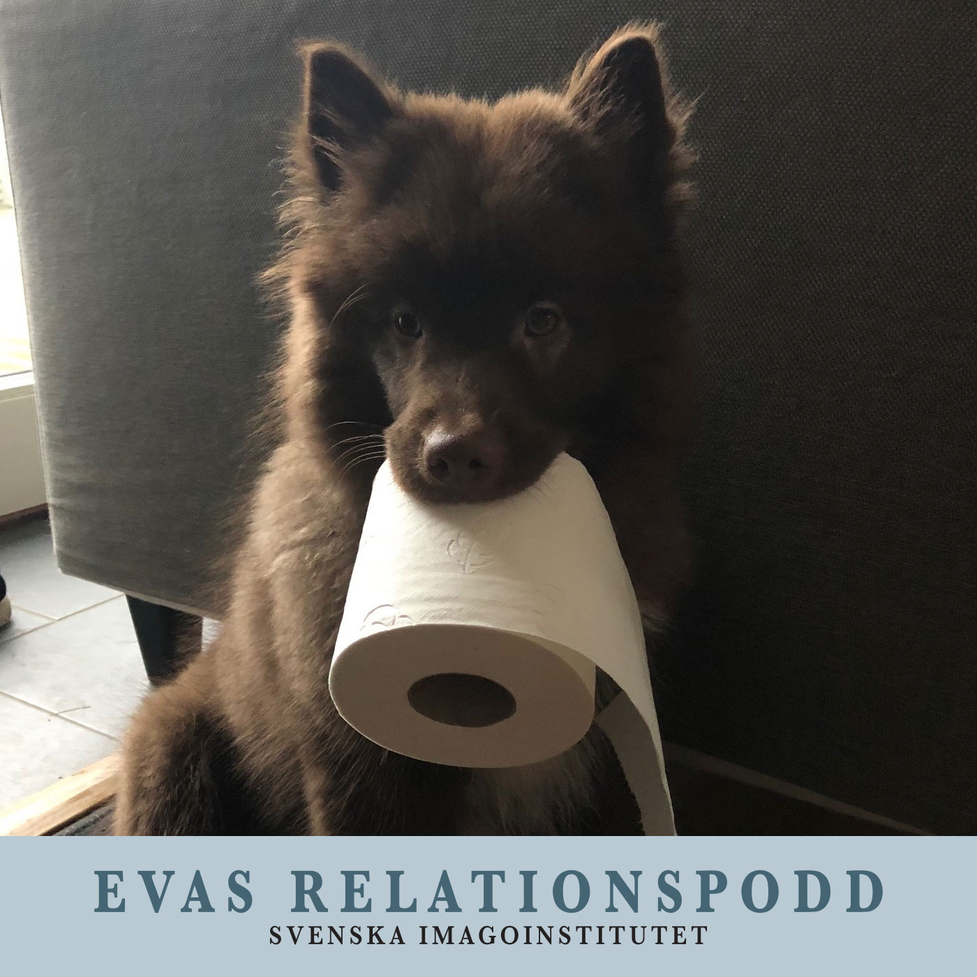 #74 Kontakt är nyckeln till inlärning och utveckling – Eva Berlander möter hundcoachen Alexandra Karlsson