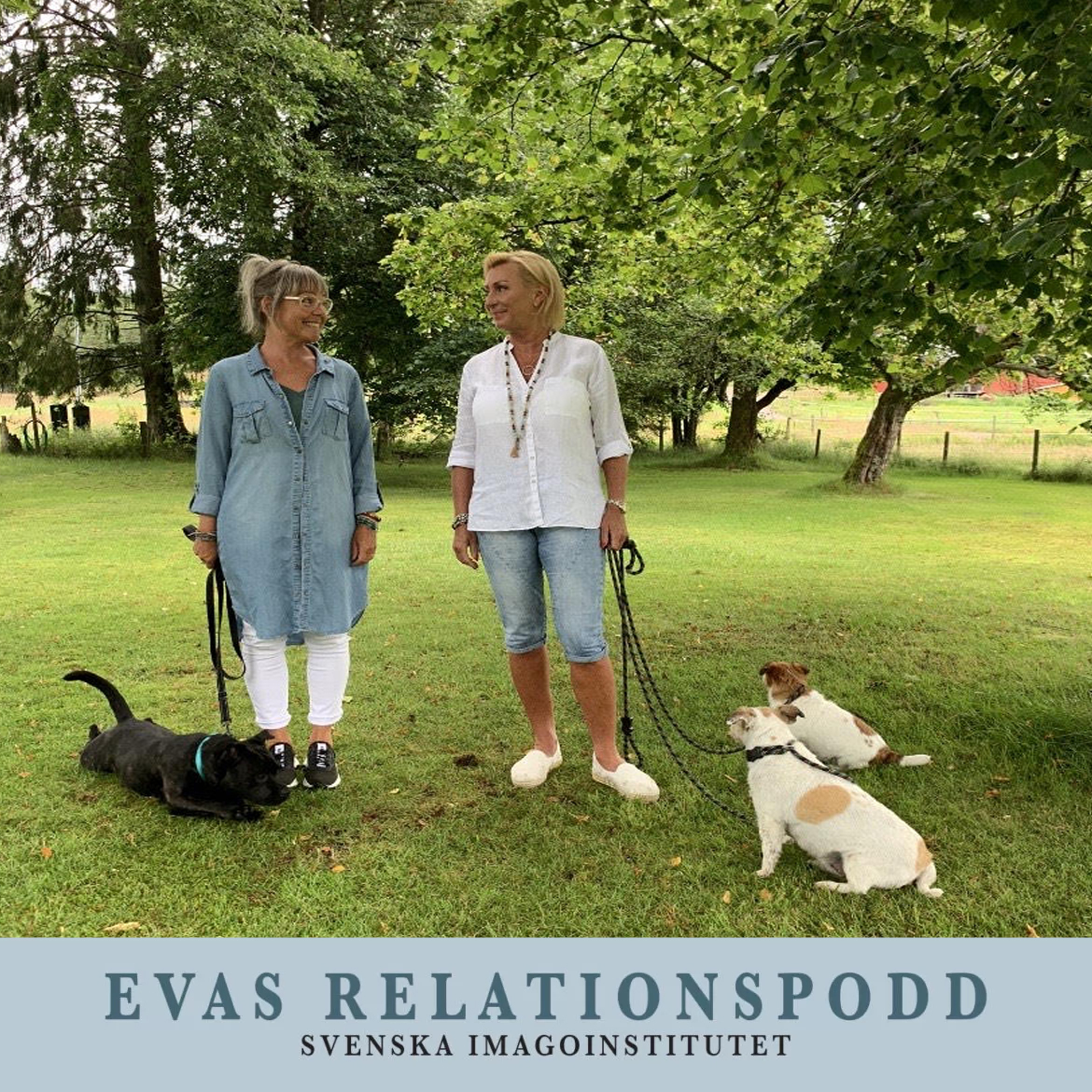 #105 Säga JA till utveckling – Eva Berlander möter Susanne Craske-Karlsson & Leila Berntsson